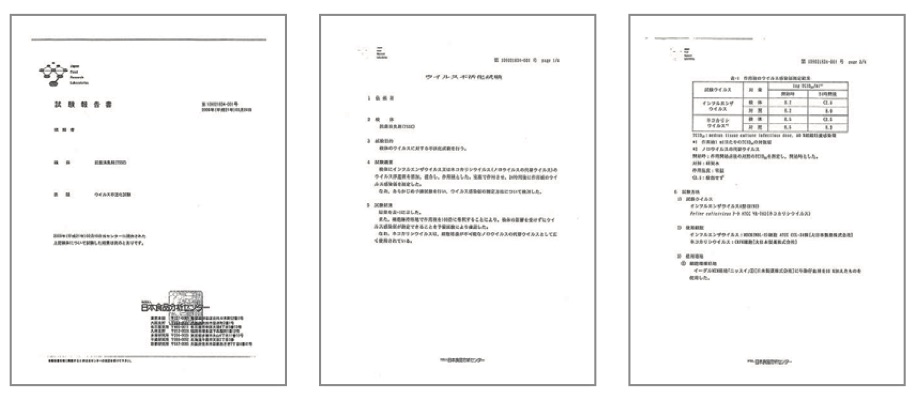 ウイルス不活化試験